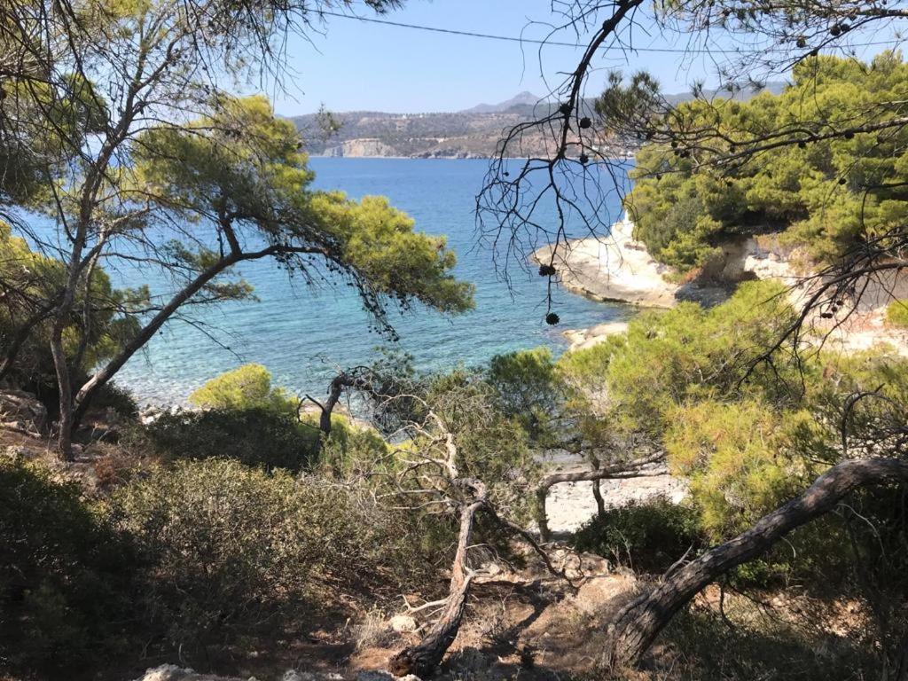 Апартаменты Vana Kavos Agia Marina  Экстерьер фото